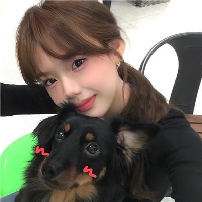 穿越我变成了乌龟